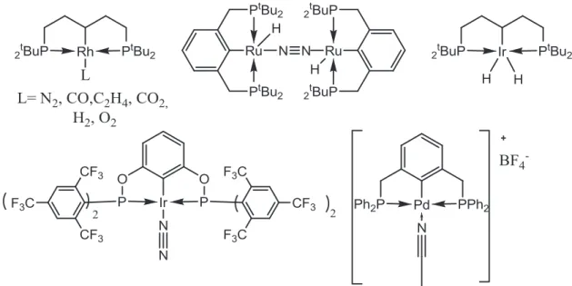 Figure 1.13 : Exemples de complexes PCP et POCOP coordonnant divers petites  molécules 