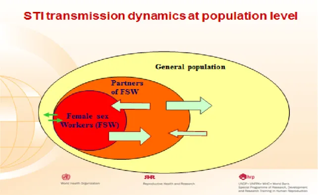 Figure 3: Dynamique de la transmission des IST/VIH dans la population générale, Bénin 
