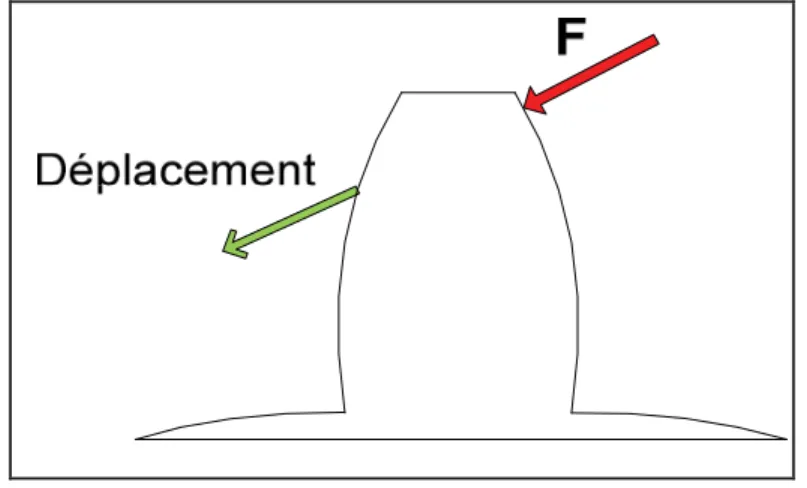 Figure 2.5  Position de la force exercée et du   déplacement mesuré. 