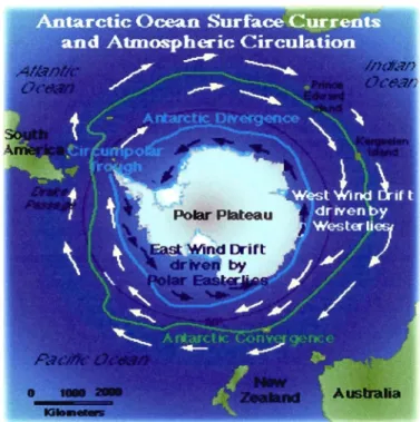 Figure  1.5.  Circulation  océanique  et  atmosphérique  prédominante  dans  le  Continent Antarctique