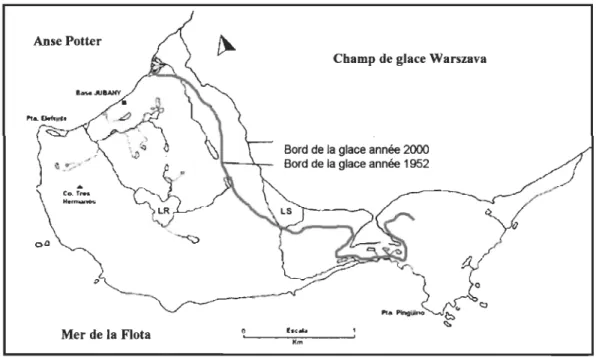 Figure 1.8. Recul des champs de glace Warszava pendant la période 1952-2000. 