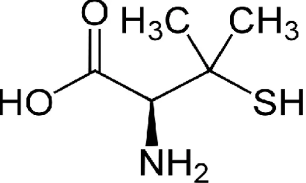Figure 10: D-Pénicillamine 