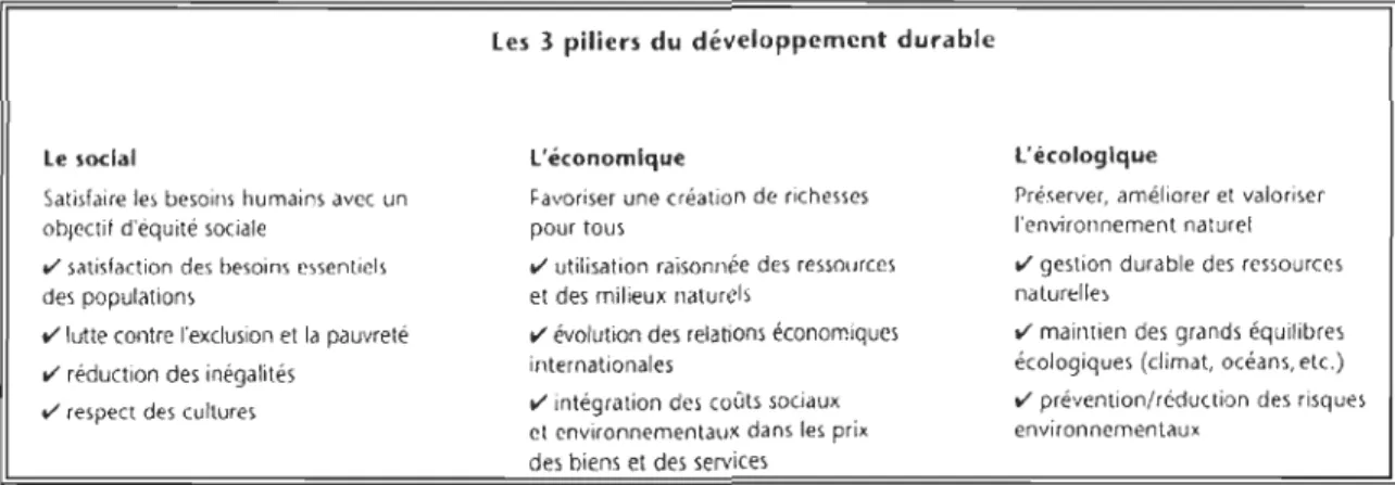 Figure 3  - Les  3 piliers du  DD (tiré de l'article Le DD dans l'entreprise,  de F.  Depoers, 2005) 
