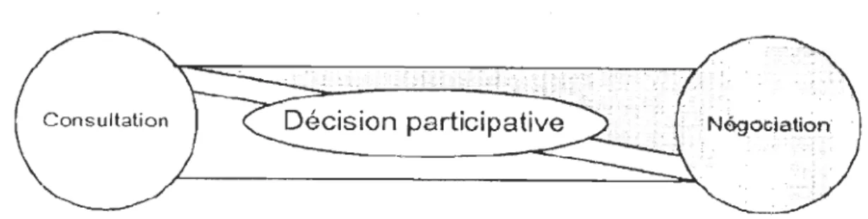 Figure 6 : Les m od es d ' impli cation des  PI (tiré de M artel, 2002) 