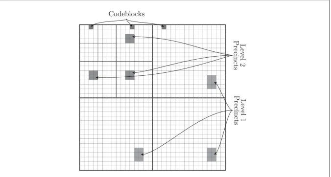Figure 1.5 Codeblocks and precinct organization
