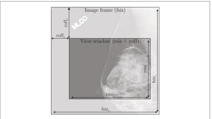Figure 1.7 JPIP View-Window