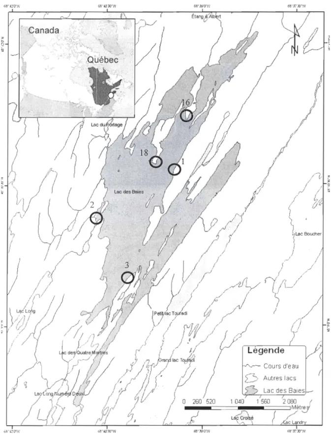 Figure  1.  Carte  du lac des Baies indiquant les sites échantillonnés en 2007. 