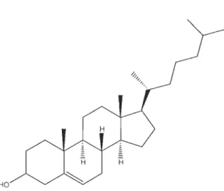 Fig ure  1.2 :  stru cture chimique du cholestérol 