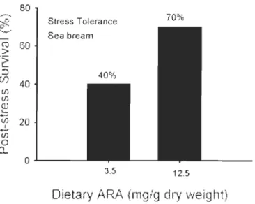 Figure  1.7 : Survie post-stress des larves de  la  daurade  (Sparus aL/rata)  en  fonction de la teneur de la  noun'iture en  acide arachidonique (source: Harel  and  Kove n, 2002)