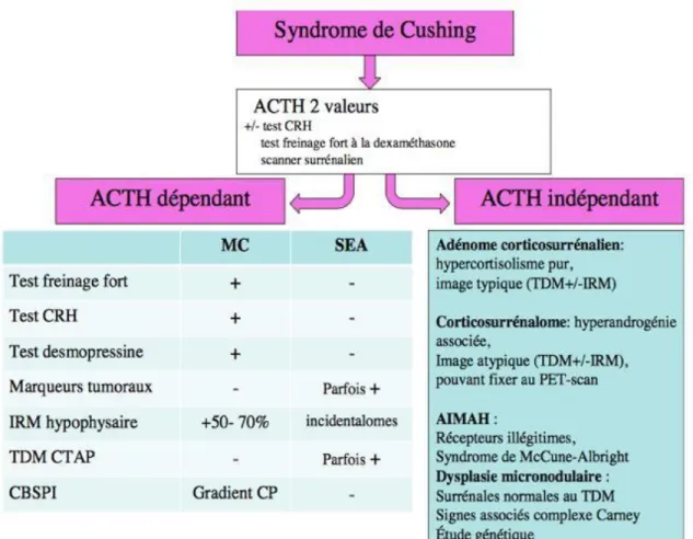 Figure 4 : Diagnostic étiologique  du SC (HAS) 