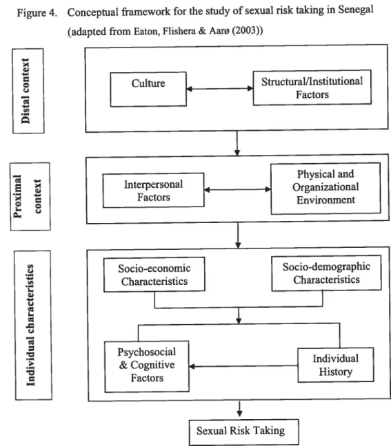 Figure 4. Conceptual framework for the study of sexual risk taking in Senegal (adapted from Eaton, Flishera &amp; Aarø (2003))