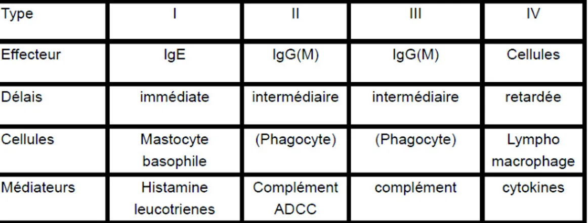 Tableau 1 : Les différents types d’hypersensibilités et leurs médiateurs selon la classification  de Gells et Coombs (11)