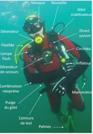 Figure 3 : Equipement du plongeur 