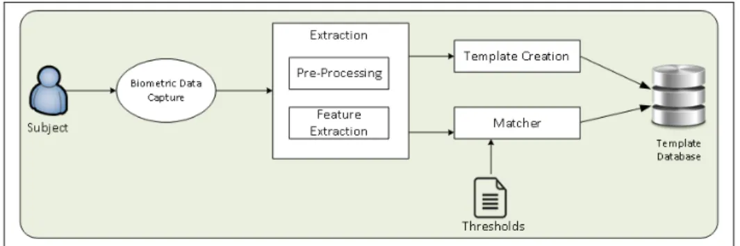 Figure 1.1 Basic biometric process.