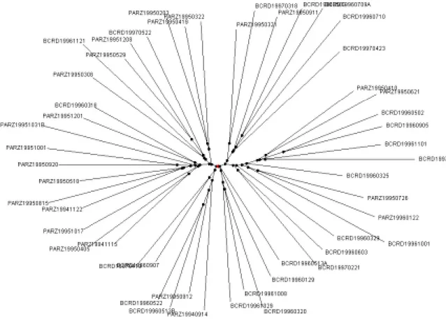 Graphique 2. Classification arborée sur les corpus ParizeauEcrit (PARZ) et BouchardEcrit (BCRD)
