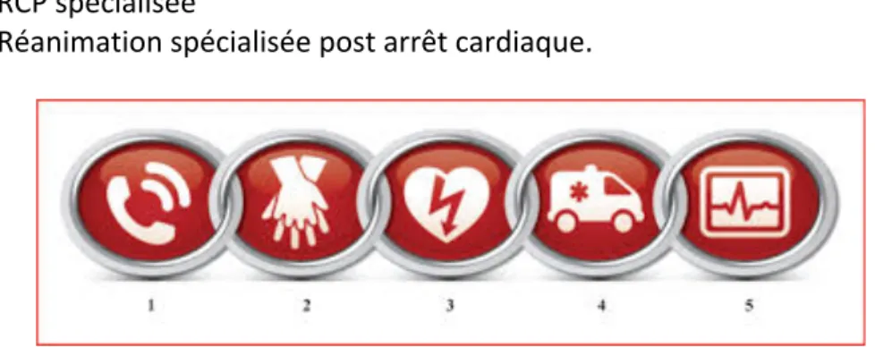 Figure 2 : chaîne de survie chez l’adulte  