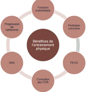 Figure 5 : Les 6 bénéfices principaux de l’entraînement physique, d’après F. Bauer, COFEMER 