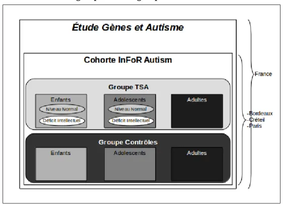 Figure 10 : Représentation de l'inclusion de InFoR Autism dans Gènes et Autisme et des groupes et sous groupes d'InFoR Autism