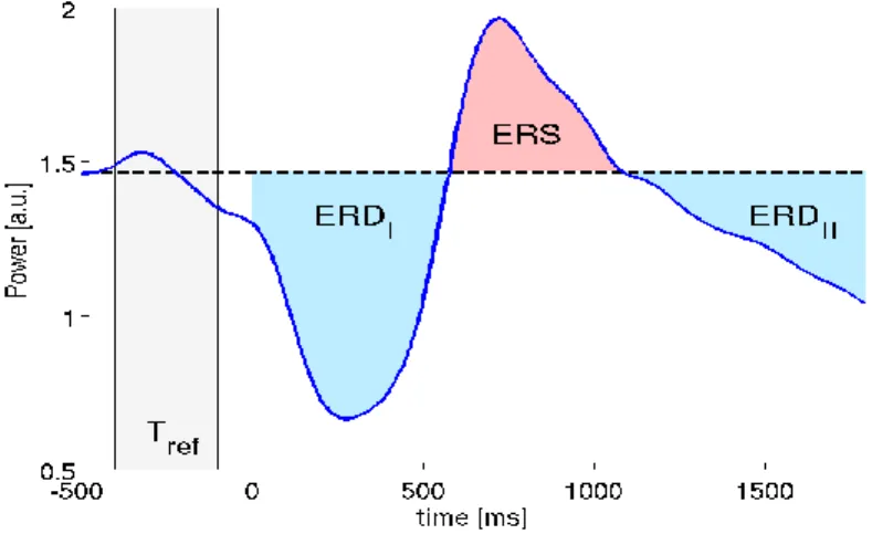 Figure 6. Illustration de l’ERD et ERS(67). 