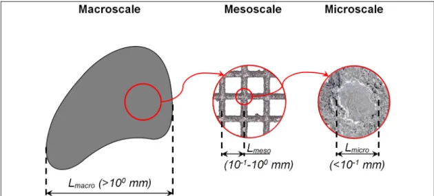 Figure 1.10 Macroscale, mesoscale and microscale of a porous material  1.4.1  Well-ordered porous materials 