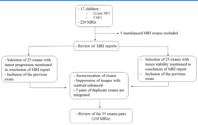 Figure 9.  Flow chart of MRI review. 