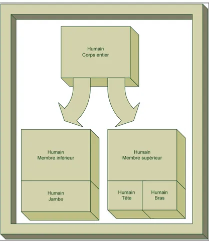 Figure 3.3 Structure des patrons de modèle. 