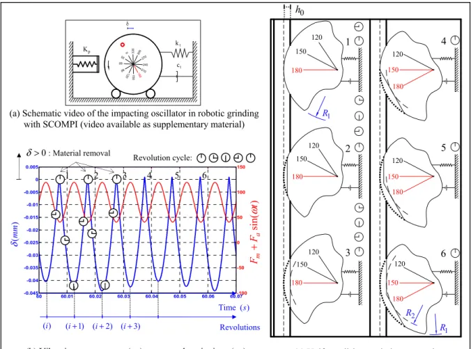 Figure 2.5  Angular position of cutting impacts and uniform disk wear in robotic grinding