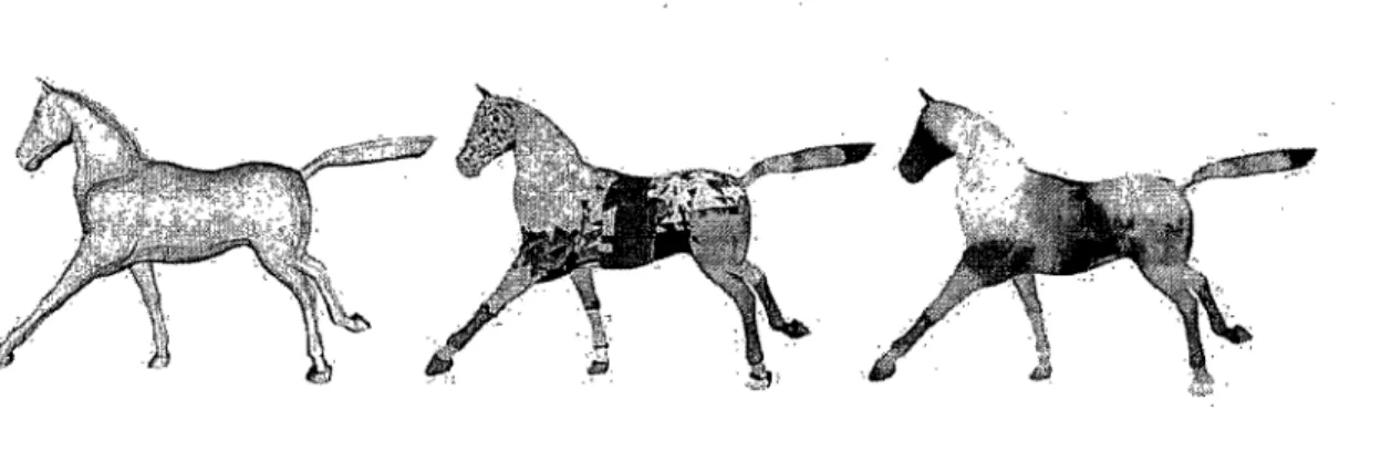 FIG.  3.5 - Méthode de segmentation de maillage animé de James et Twigg  [JT05]. Image tirée