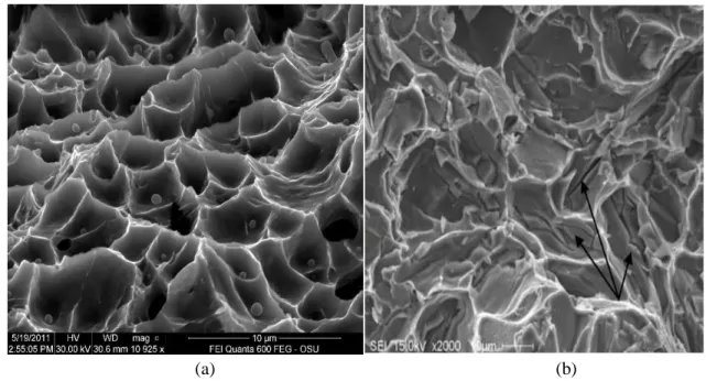 Figure 2.10 SEM images showing (a) a ductile fracture surface exhibiting a dimpled structure, and  (b) a brittle fracture surface, showing how fracture occurs through the cracking of particles 