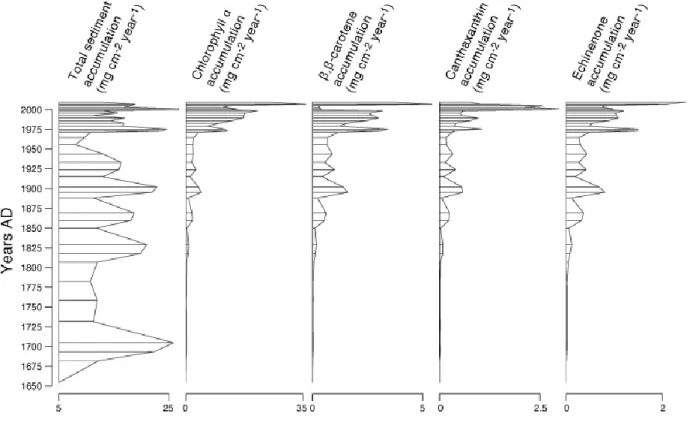 Figure 2.5 Stratigraphic plot of net sedimentation and accumulation rates. 