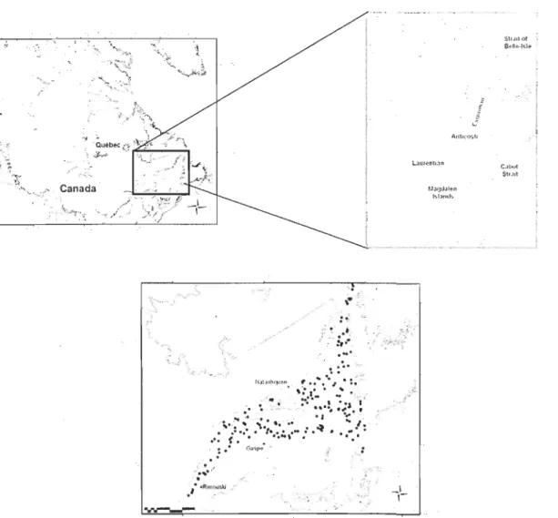 Figure  1. Study are a showing the  location of the  193  sampling stations of macrofauna, in  August 2006