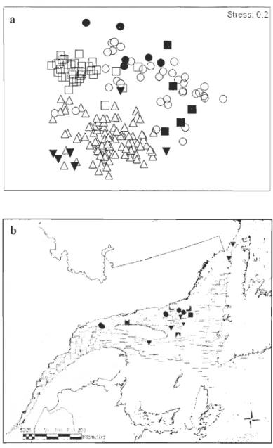 Figure  3.  Epibenthic macrofauna corn munit y  (biomass database)  in  the  St.  Lawrence  in  August 2006