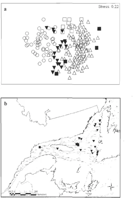 Figure 5. Epibenthic macrofauna community in  the St.  Lawrence  in August 2006 a) Non- Non-metric  multidimensional  scaling  (nMDS)  ordination  based  on  the  Bray  Curtis  dissimilarity,  Presence/Absence  (P/A)  transformed  data