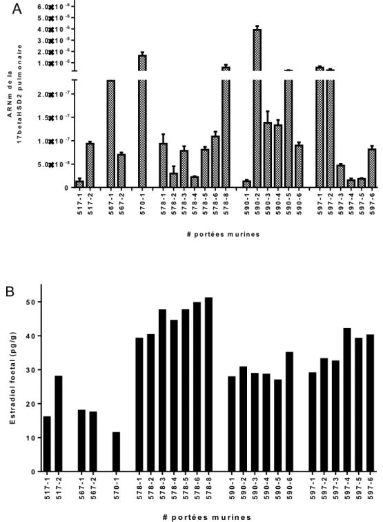 Figure  6.  Relation  entre  les  niveaux  d’expression  de  la  17ßHSD2  pulmonaire  fœtale  (A)  et  les  niveaux  d’estradiol  fœtal  au  JG  17,5  (B)