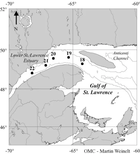 Figure 2.1. Sampling sites in the Lower St. Lawrence Estuary. 