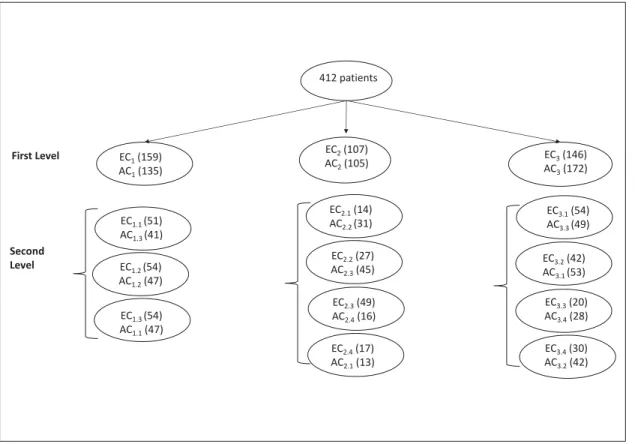 Figure 3.1 Cluster analysis by levels. The numbers in parentheses are the patients in each cluster