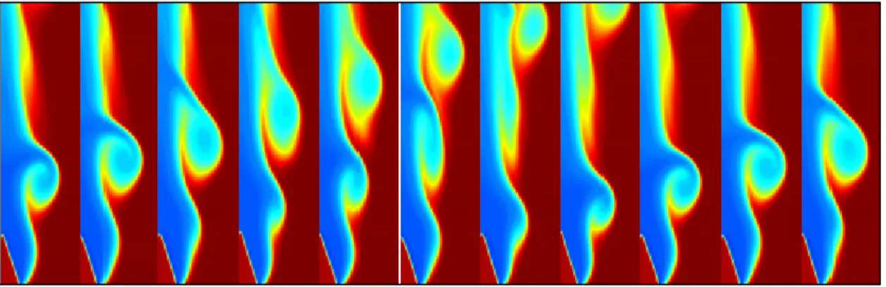 Figure 1.3 Density field representation of vortex evolution over time  Taken from Shepherd et al