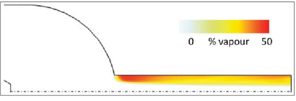 Figure 1.3 Fraction volumique de vapeur présente dans le nez d’un injecteur mono-trou, tiré de Giannadakis et al