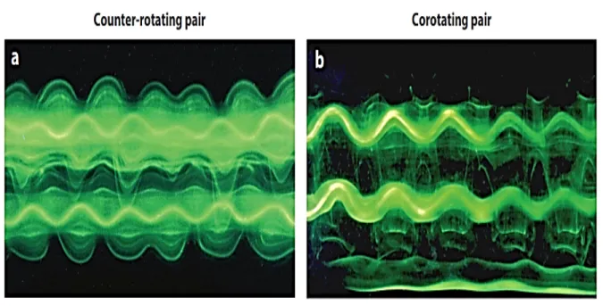 Figure 1.8 Visualisation expérimentale dans une cuve à eau de l’instabilité   elliptique dans une paire contrarotative (a) et corotative (b) 