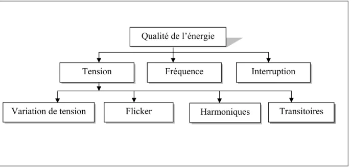 Figure 1.6   Classification des perturbations du point de vue qualité d’énergie. 