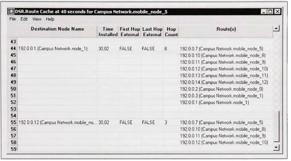 Figure 5.4 Table de routage du nœud 5 à t=40sec  en utilisant la version original de DSR