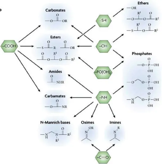 Figure 15 : Résumé des groupements fonctionnalisés (vert) et promédicaments (bleu) par Rautio et  coll.(93)   