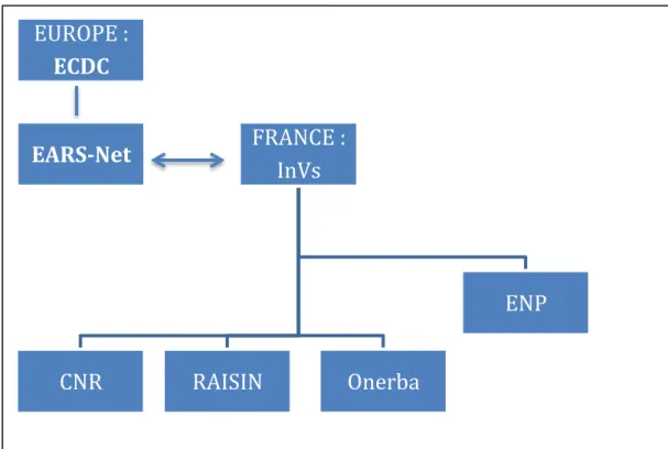 Figure 1 Organisation de la surveillance des BMR 