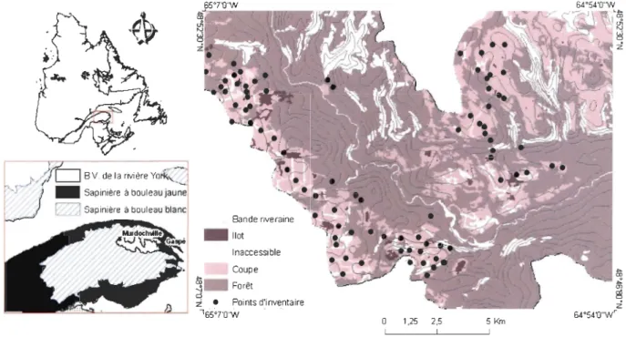 Figure  l.  Localisation des points d' inventaires dans le  bassin versant de  la rivière York, Gaspésie, Québec 