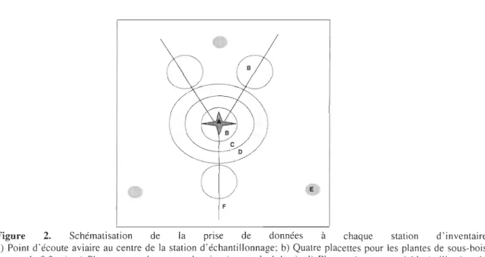 Figure  2.  Schématisation  de  la  prise  de  données  à  chaqu e  station  d ' inventaire  a)  Point d'écoute  aviaire  au  centre  de  la  station d ' échantillonna ge;  b)  Quatre placettes  pour les  plantes  de  sous-bois  (rayon  de  0.3  m);  c)  P