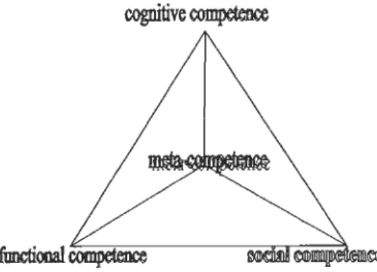 Figure 4  :  Holistic model of competence 