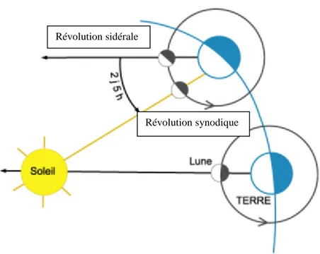 Figure 2 : Les révolutions sidérale et synodique 