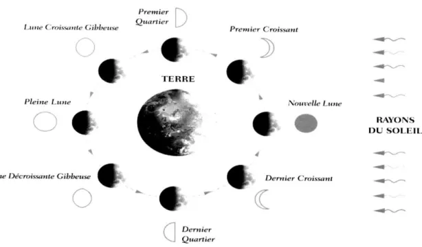 Figure 6 : Les 8 principales phases de la Lune. 