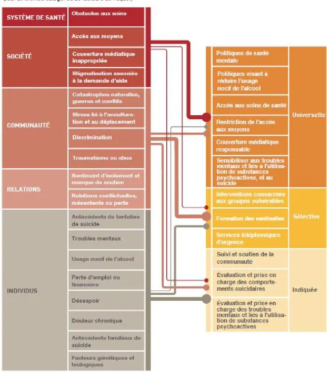 Figure  4 : Les principaux facteurs de risque de  suicide associés aux interventions pertinentes  (1)  reproduit du rapport de l’OMS paru en 2014 