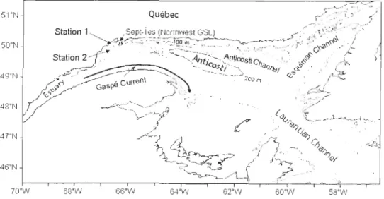 Figure  1.3.  Map  of the  Estuary  and  Gulf of St.  Lawrence  system  showing  the  location  of  the  sampling stations during  spring 2006  in the northwest Gulf  and  the main regions  where  tis hing  for  northern  shrimp  Panda/us  borealis  is  pe